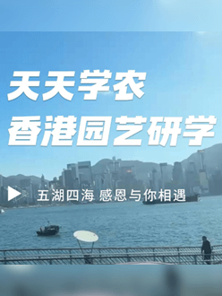 与香港园艺学会联合举办香港园艺研学，专业园境师带队讲解。