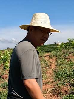 农业人叶涛，50多岁通讯人跨界搞农业，他要用1000万打造一个梦。